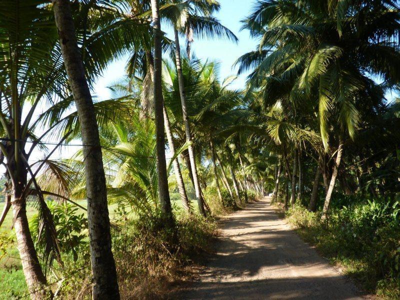 Coconut Grove Beach Resort Colvá Exterior foto